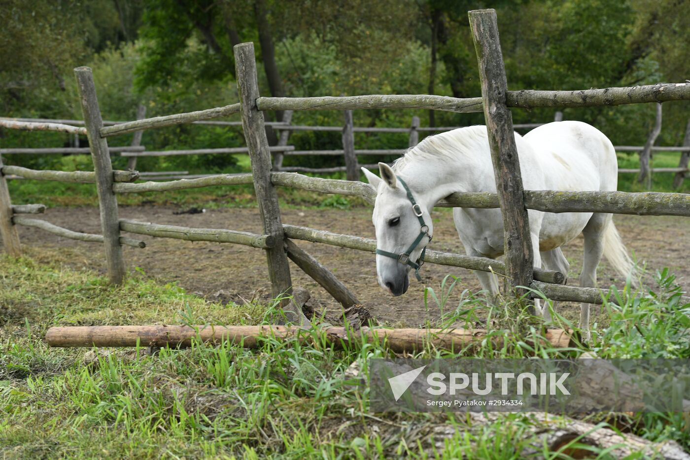 Yasnaya Polyana museum-estate