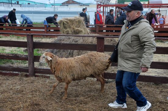 Celebrating Kurban Bayram in Russia