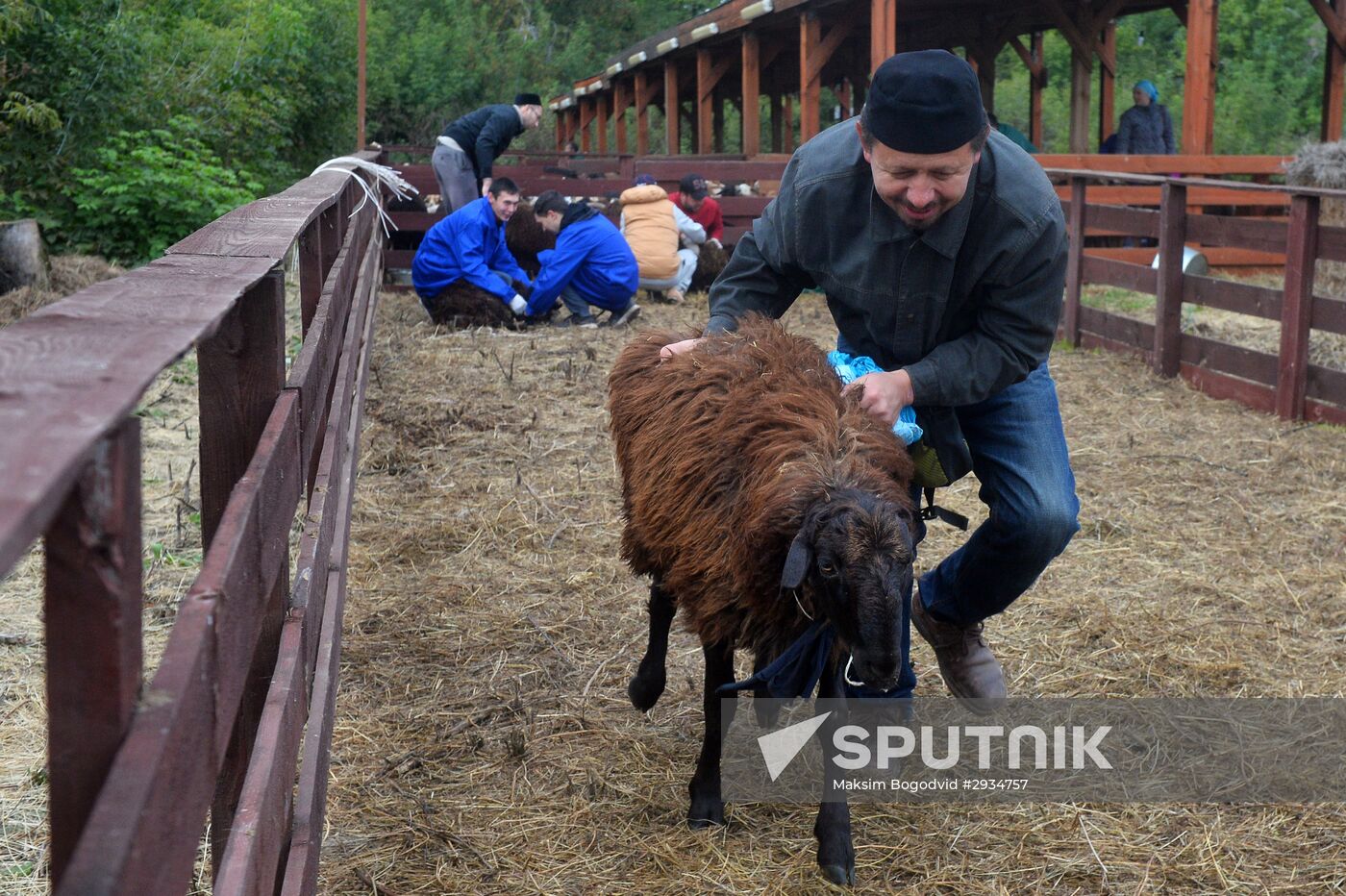 Celebrating Kurban Bayram in Russia