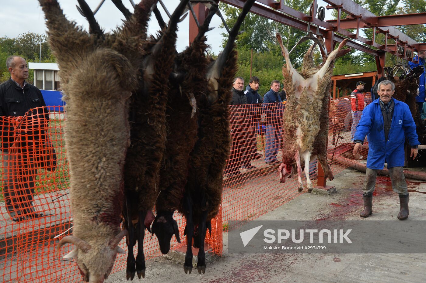Celebrating Kurban Bayram in Russia