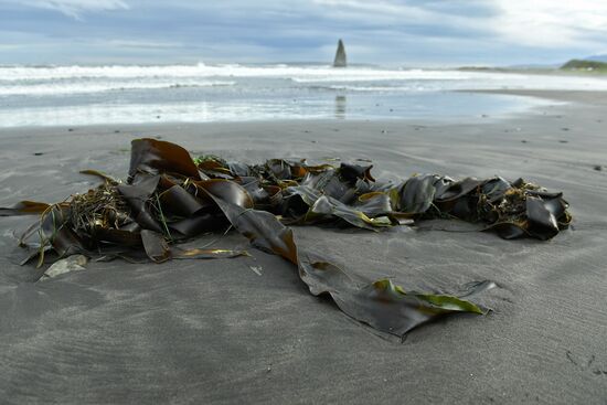 Views of Russia. Kuril islands