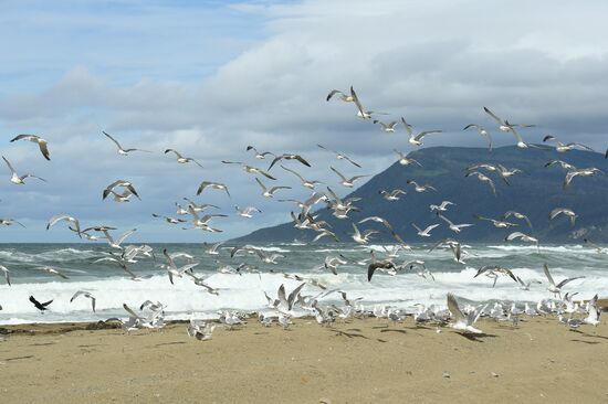 Views of Russia. Kuril Islands