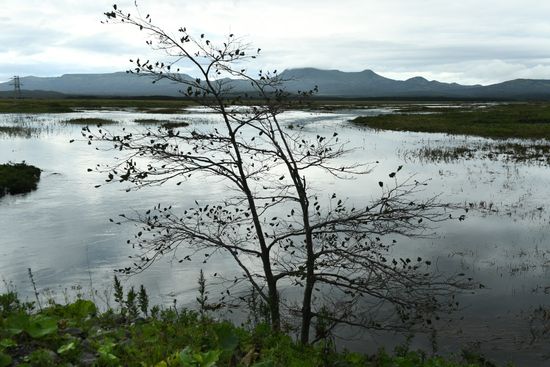 Views of Russia. Kuril islands