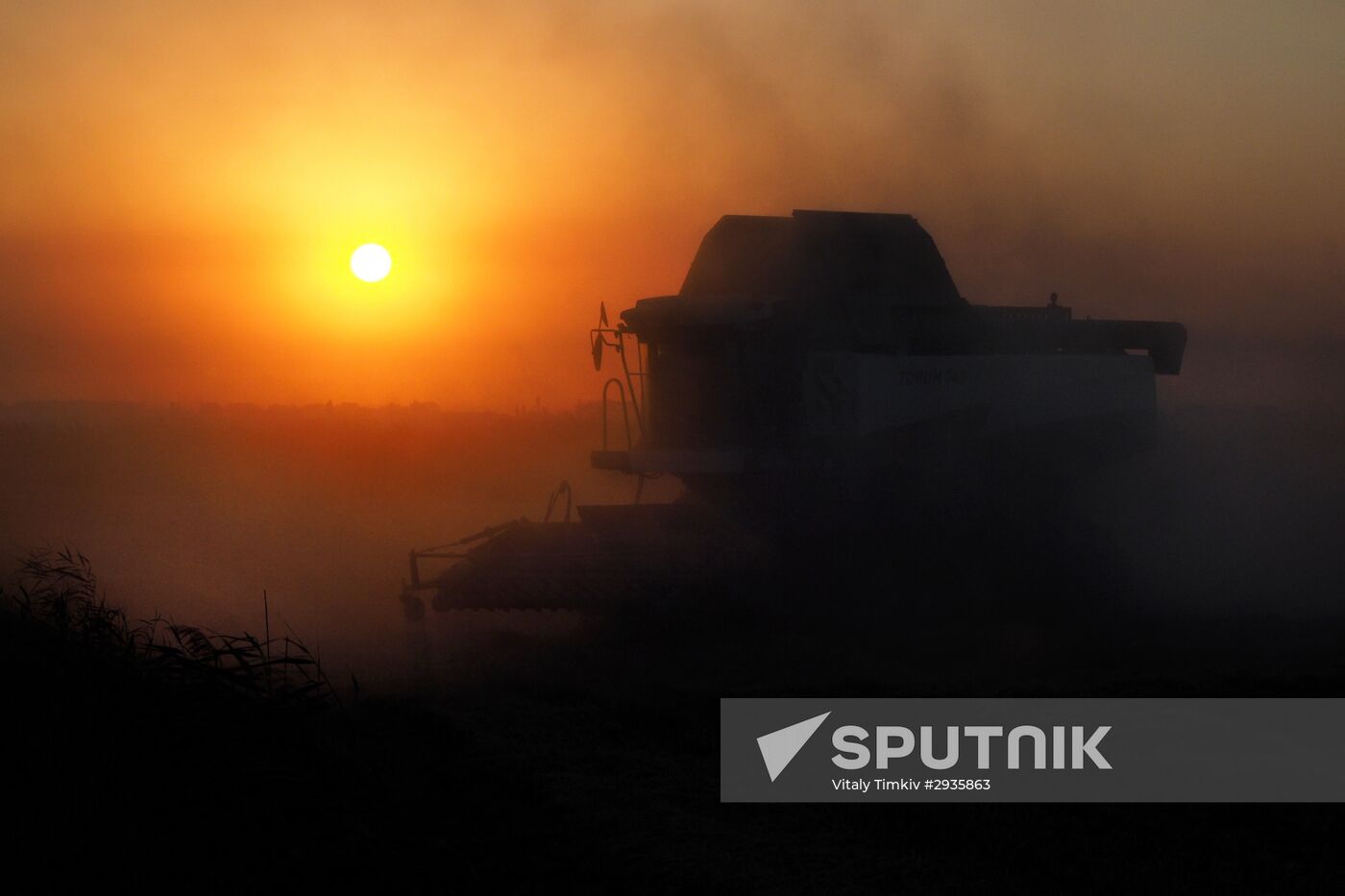 Rice harvest in Krasnodar Territory