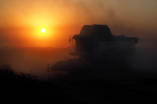 Rice harvest in Krasnodar Territory