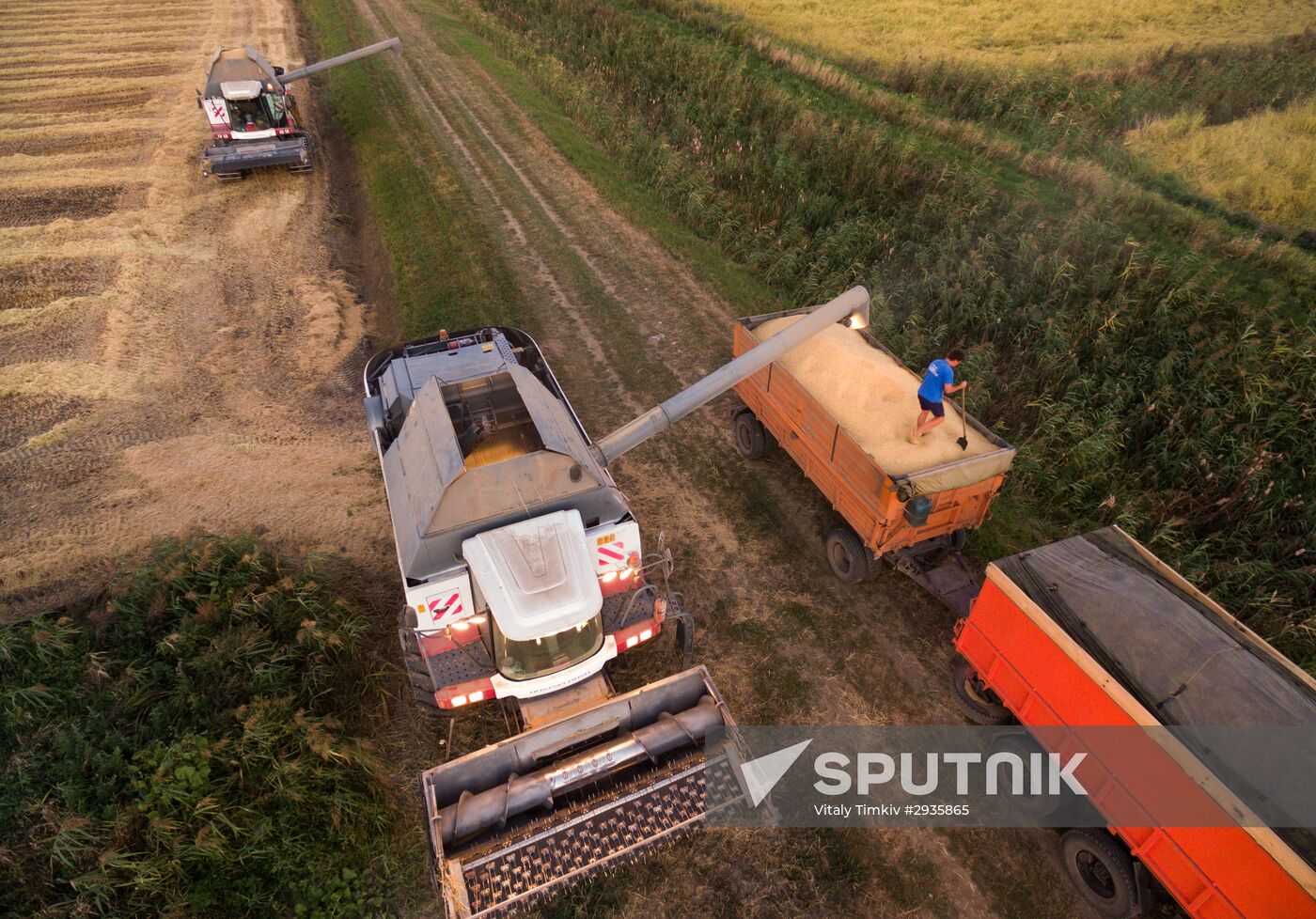 Rice harvest in Krasnodar Territory