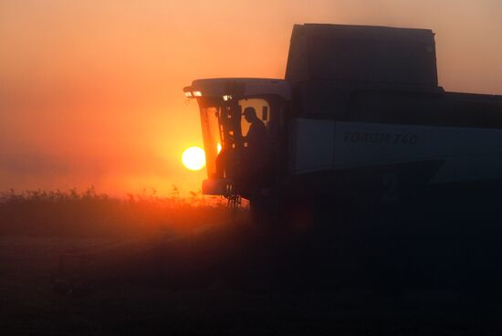 Rice harvest in Krasnodar Territory