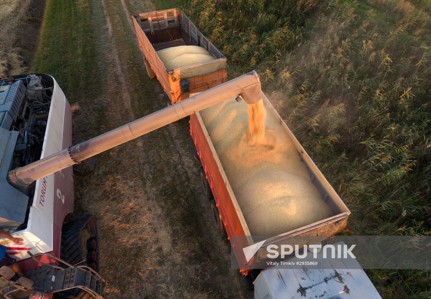 Rice harvest in Krasnodar Territory