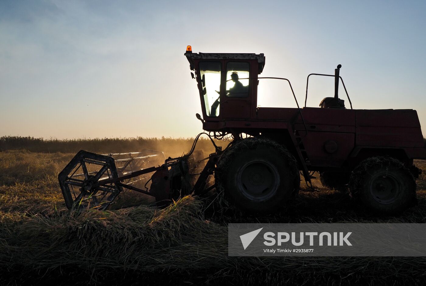 Rice harvest in Krasnodar Territory
