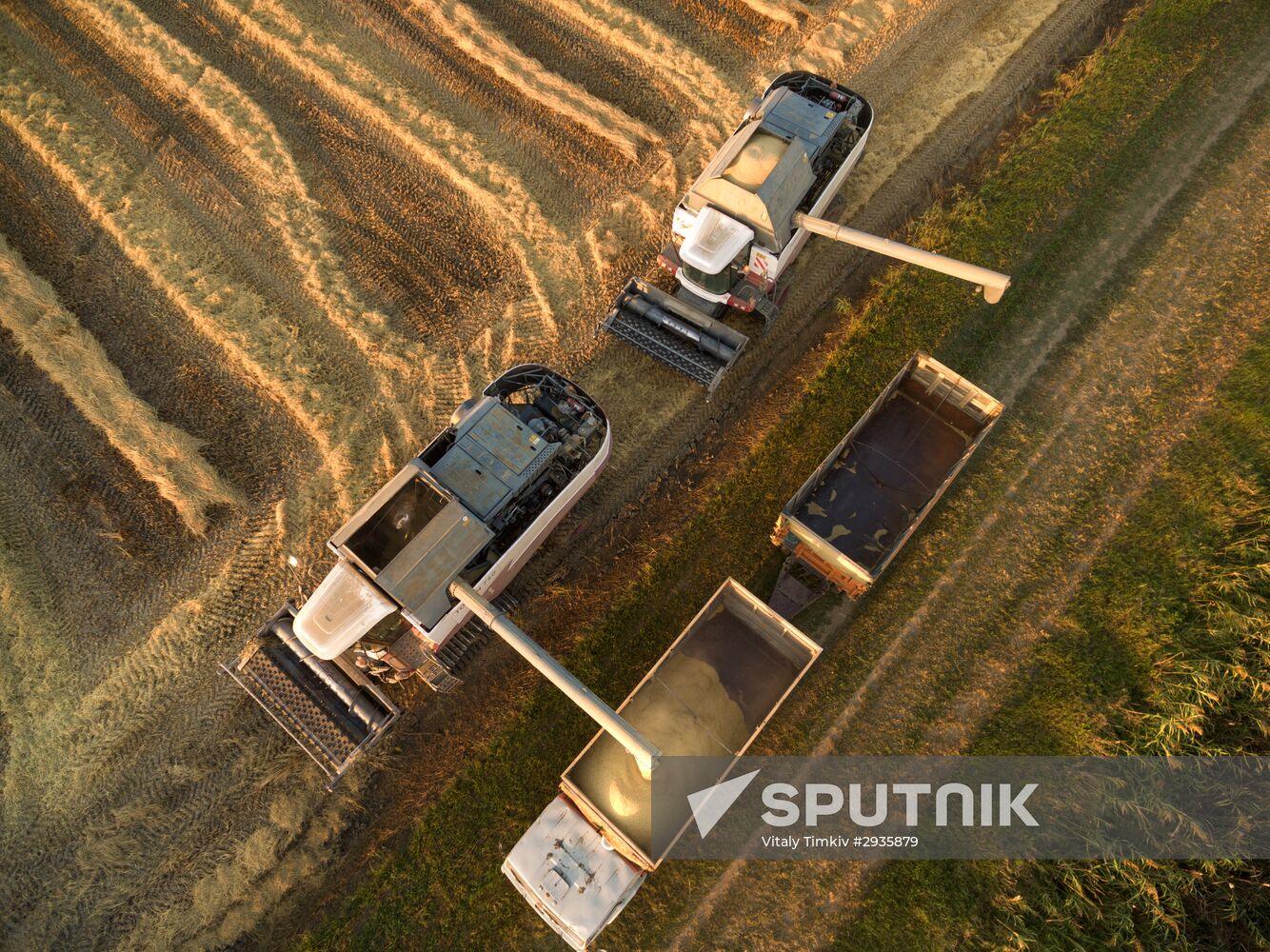 Rice harvest in Krasnodar Territory