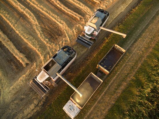 Rice harvest in Krasnodar Territory