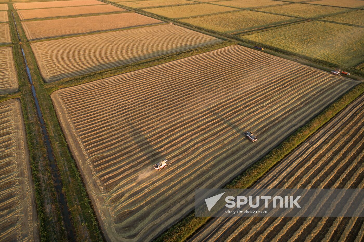 Rice harvest in Krasnodar Territory