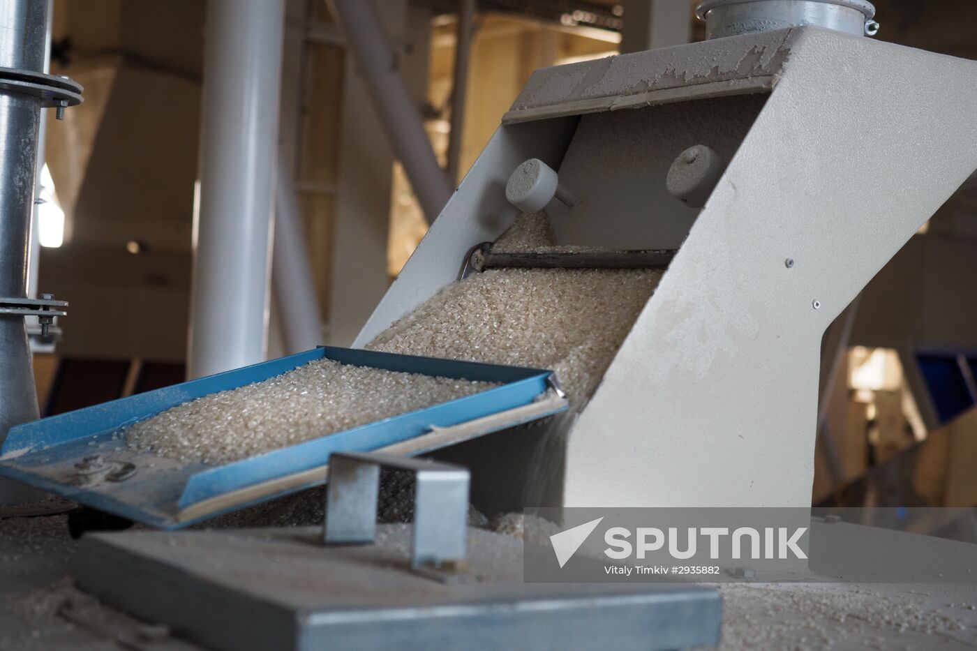 Rice harvest in Krasnodar Territory