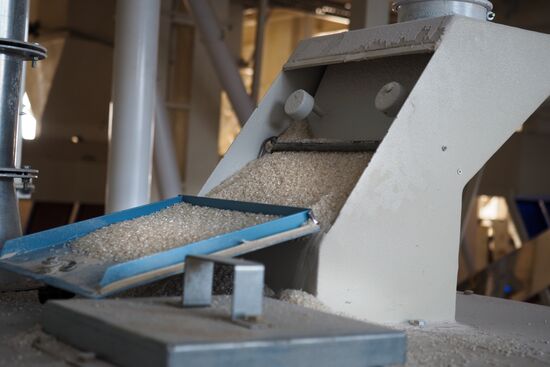 Rice harvest in Krasnodar Territory