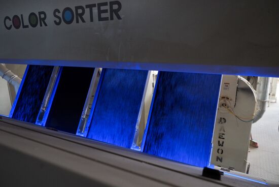 Rice harvest in Krasnodar Territory