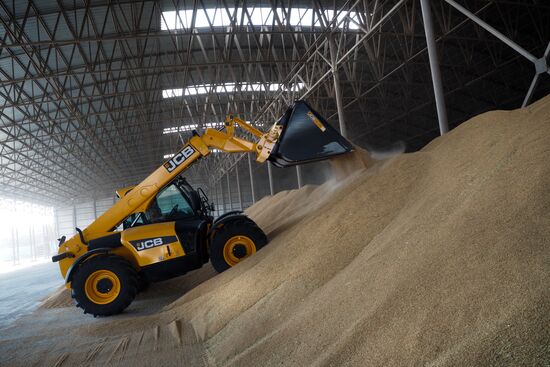 Rice harvest in Krasnodar Territory