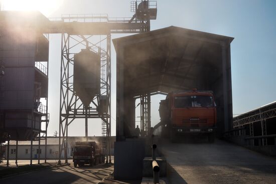 Rice harvest in Krasnodar Territory