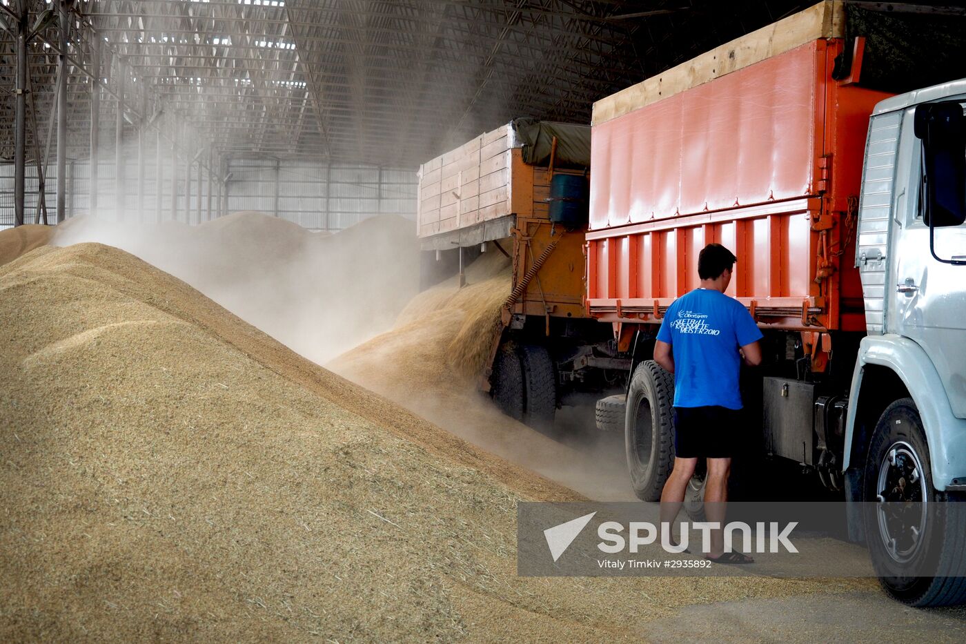 Rice harvest in Krasnodar Territory