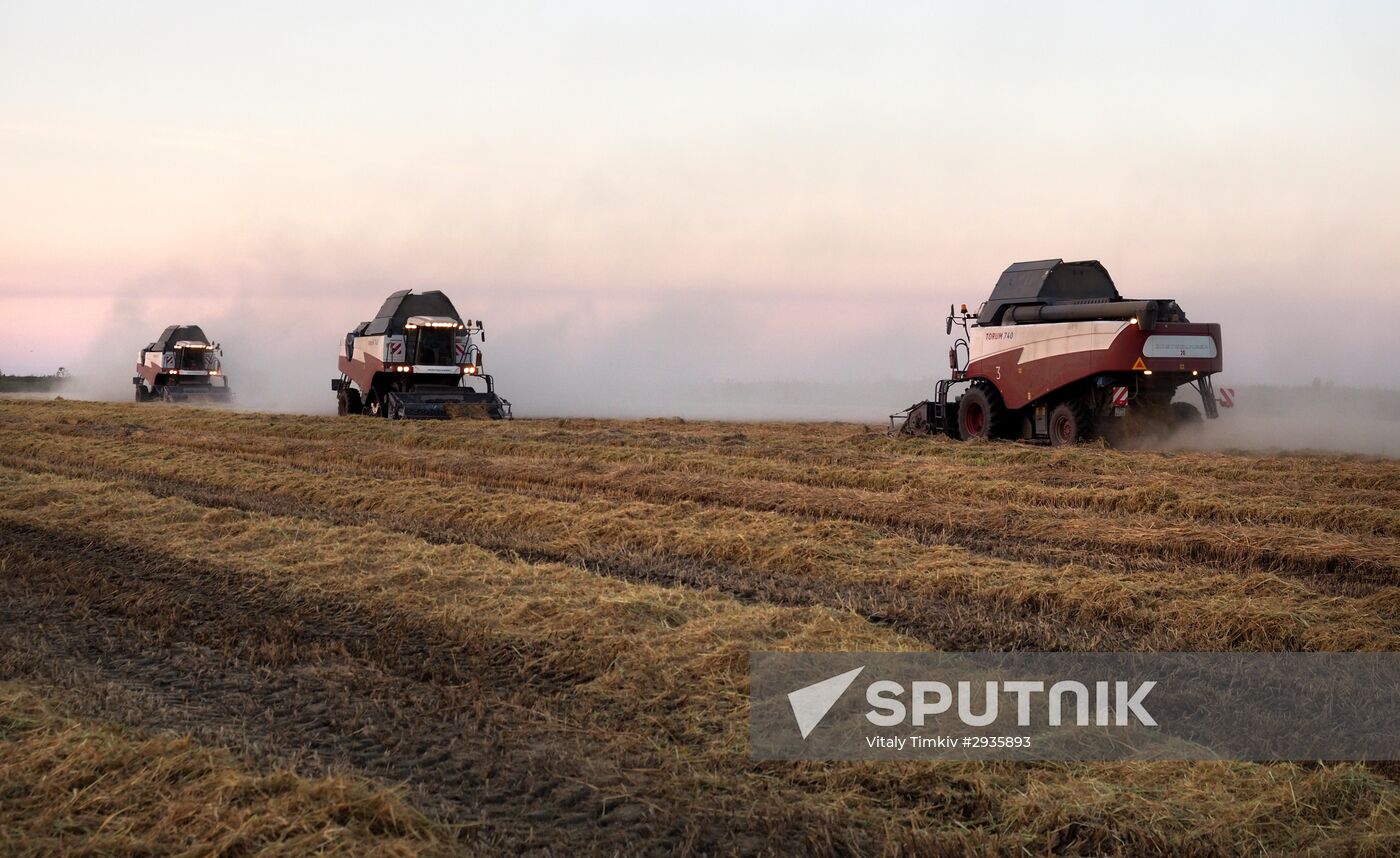 Rice harvest in Krasnodar Territory