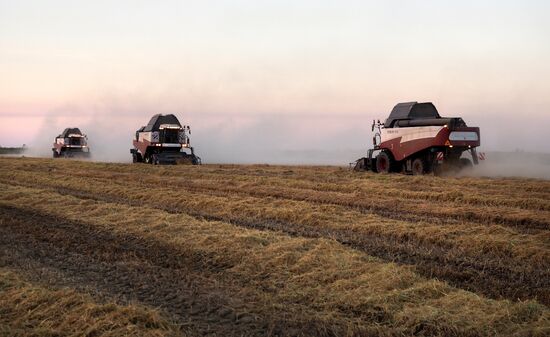 Rice harvest in Krasnodar Territory