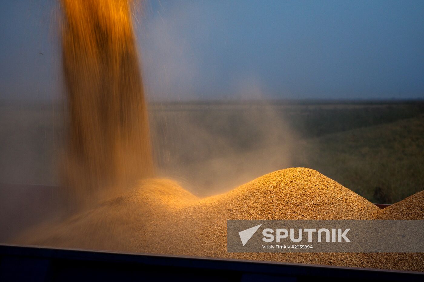 Rice harvest in Krasnodar Territory