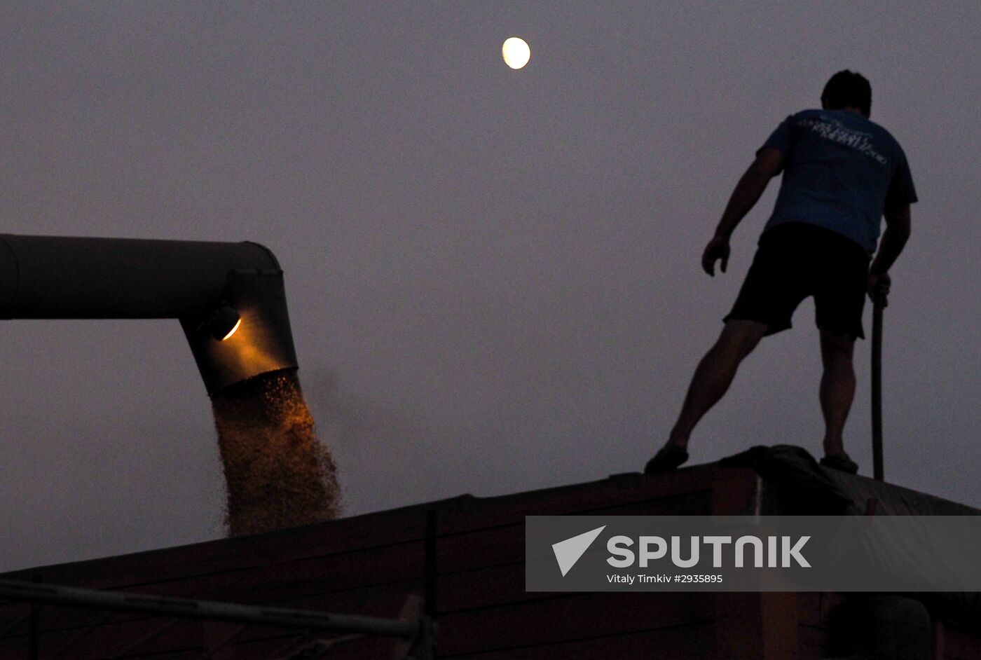 Rice harvest in Krasnodar Territory