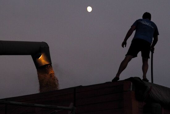Rice harvest in Krasnodar Territory