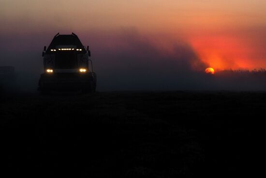 Rice harvest in Krasnodar Territory