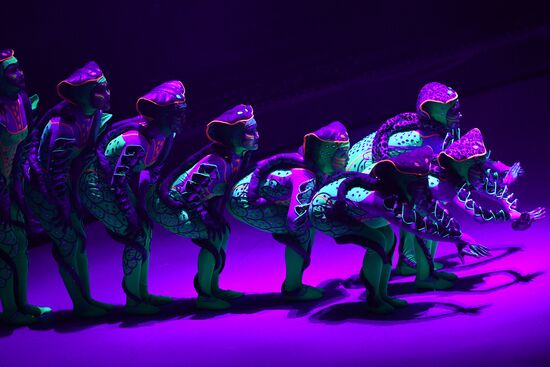 Idol circus festival winners stage show