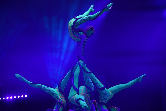 Idol circus festival winners stage show