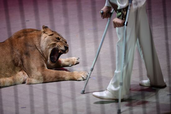 Idol circus festival winners stage show