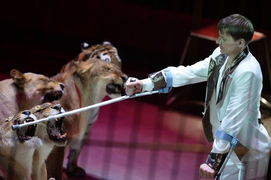 Idol circus festival winners stage show