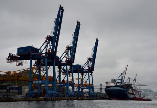 FESCO Diomid cargo ship arrives in Vladivostok