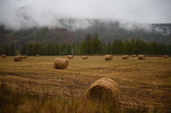 Spring in Altai