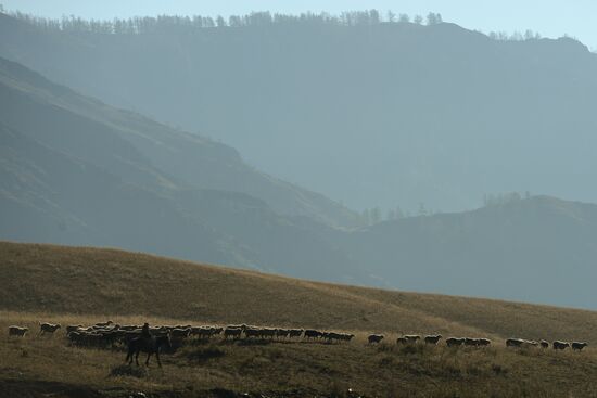 Spring in Altai
