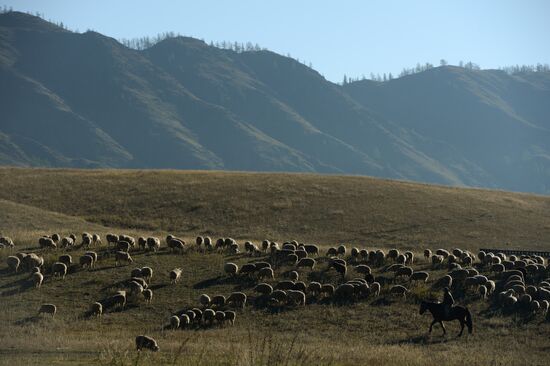 Spring in Altai