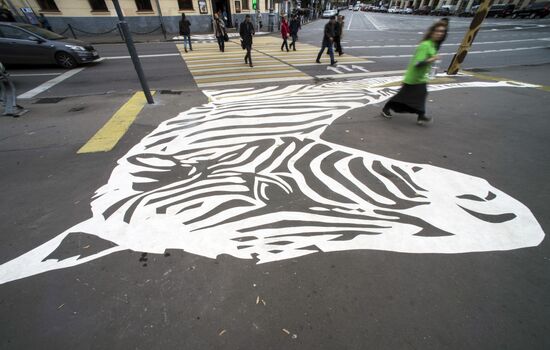 Pedestrian crossing with image of zebra at Moscow Zoo