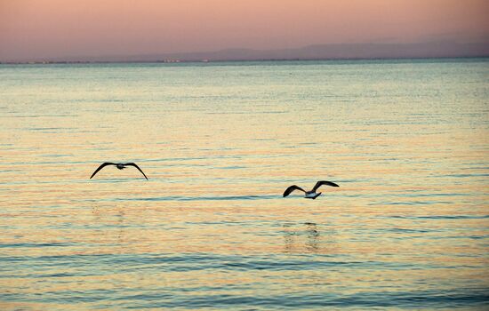 Russian regions. Crimea