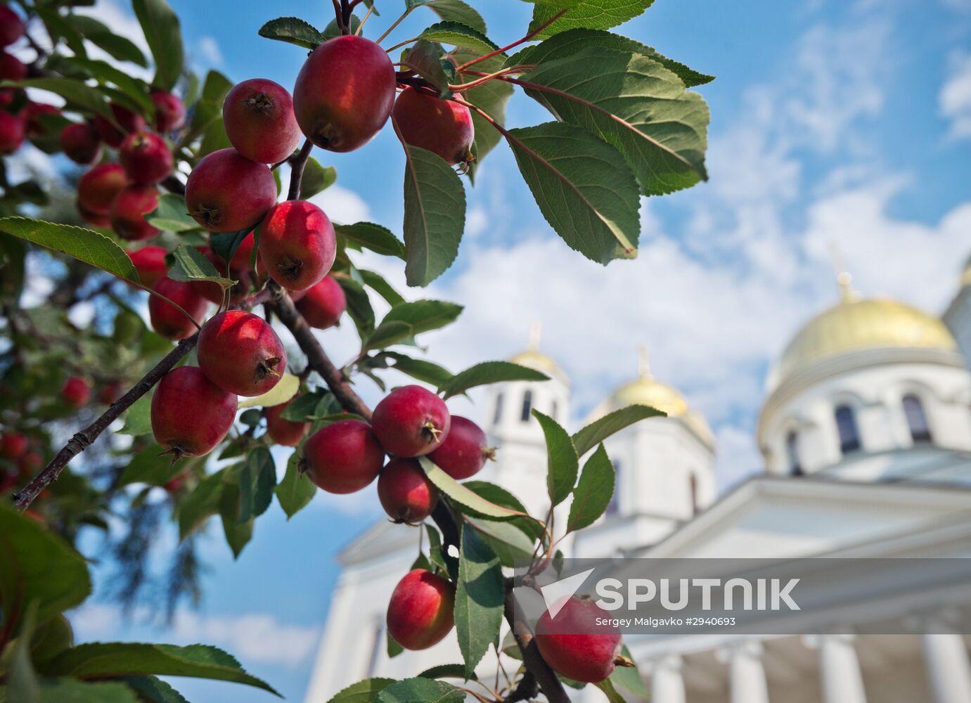 Russian regions. Crimea