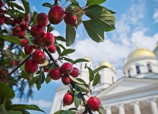 Russian regions. Crimea