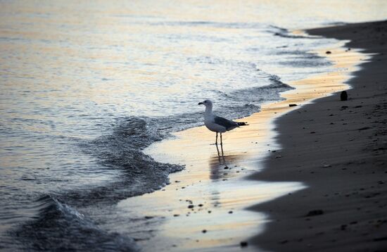 Russian regions. Crimea
