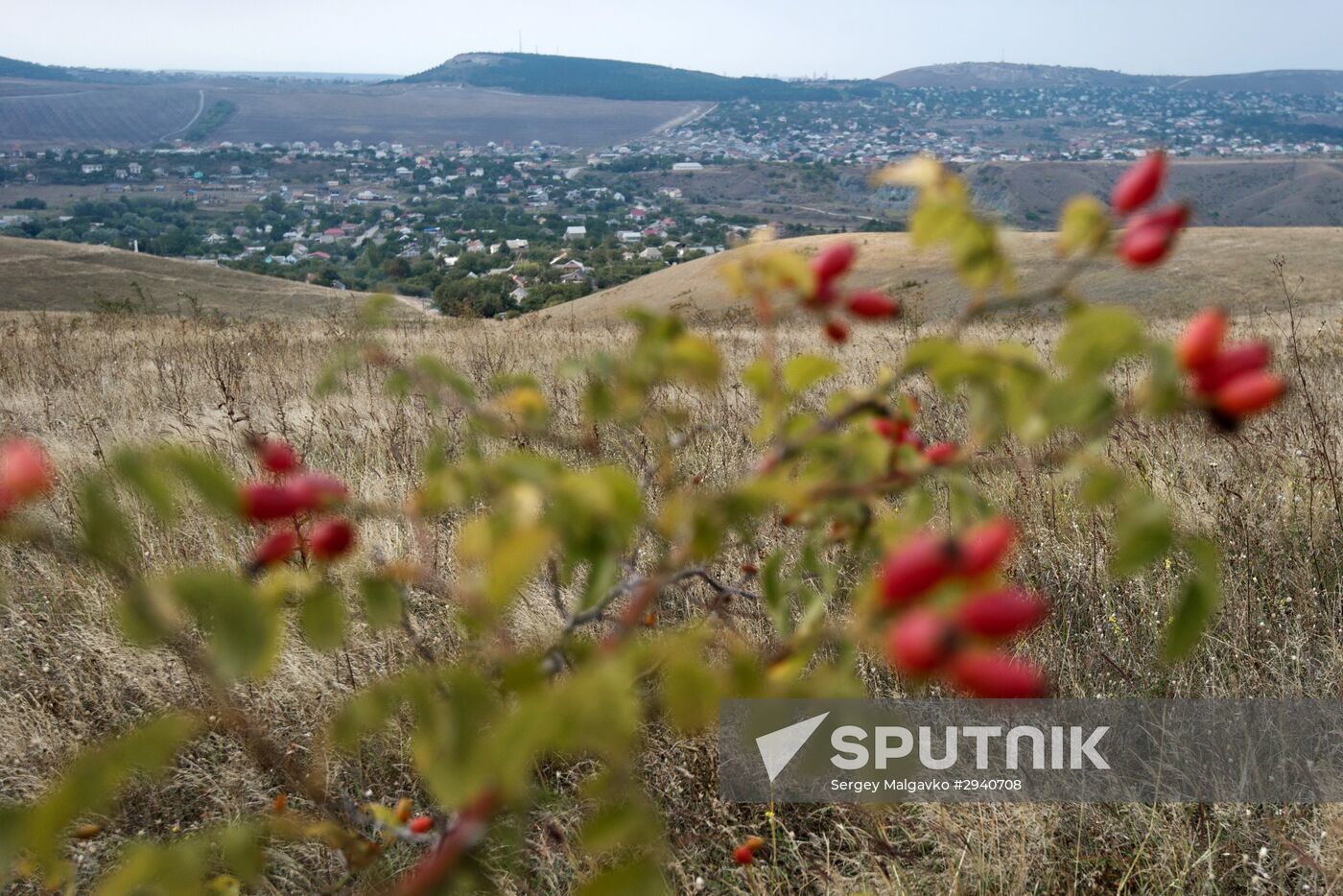 Russian regions. Crimea