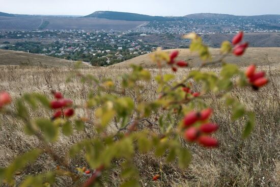 Russian regions. Crimea