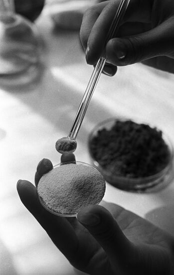 Tashkent Institute of the Chemistry of Plant Substances