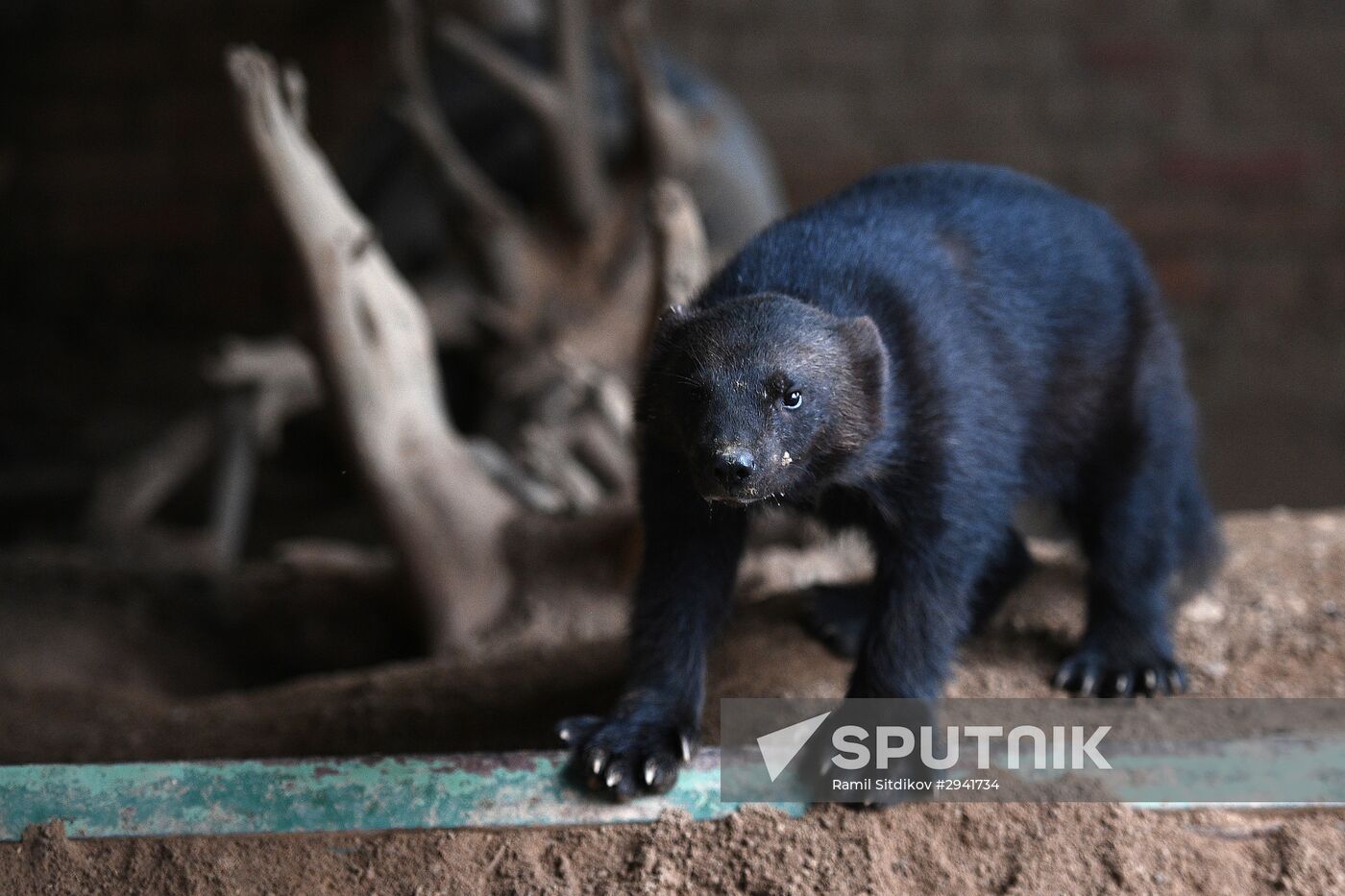 Moscow Zoo nursery
