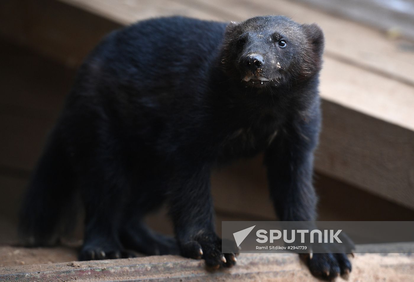 Moscow Zoo nursery