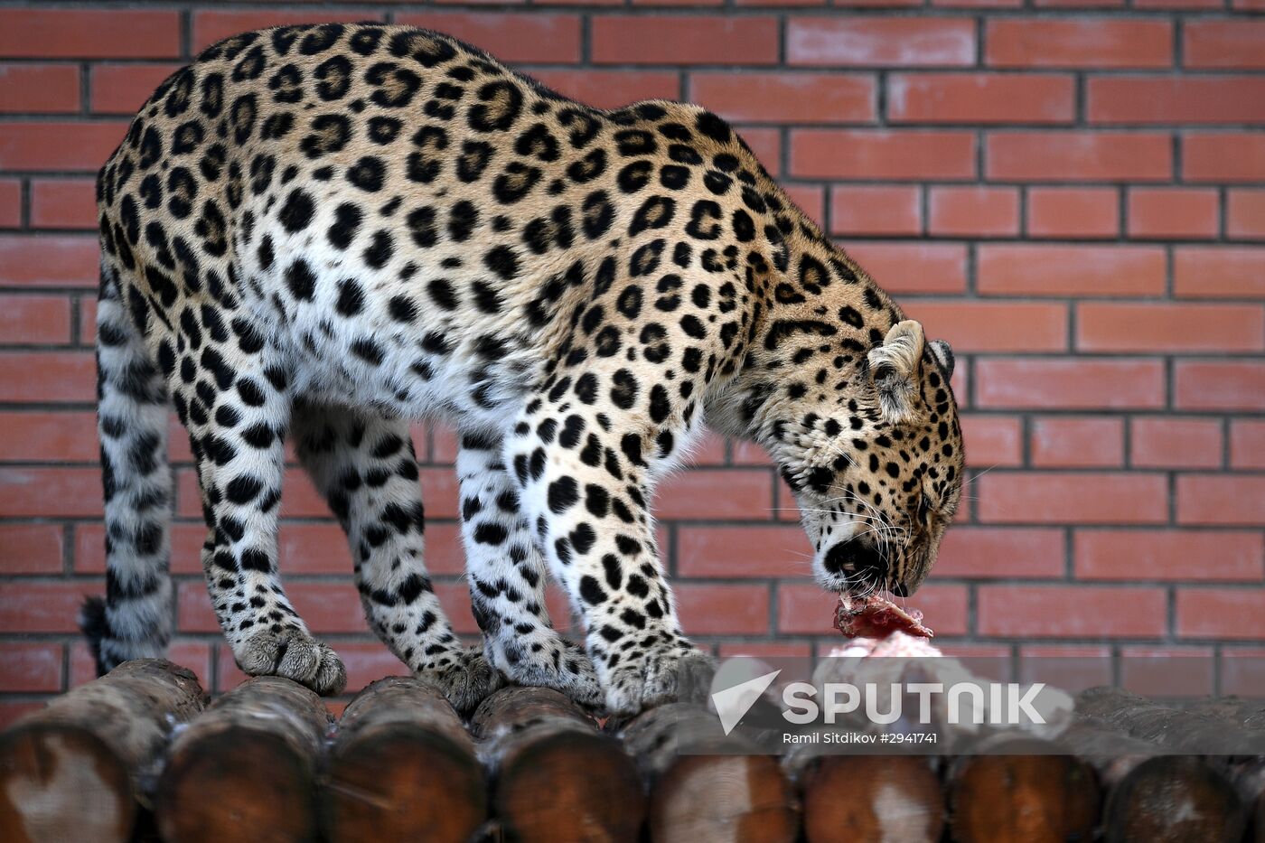 Moscow Zoo nursery