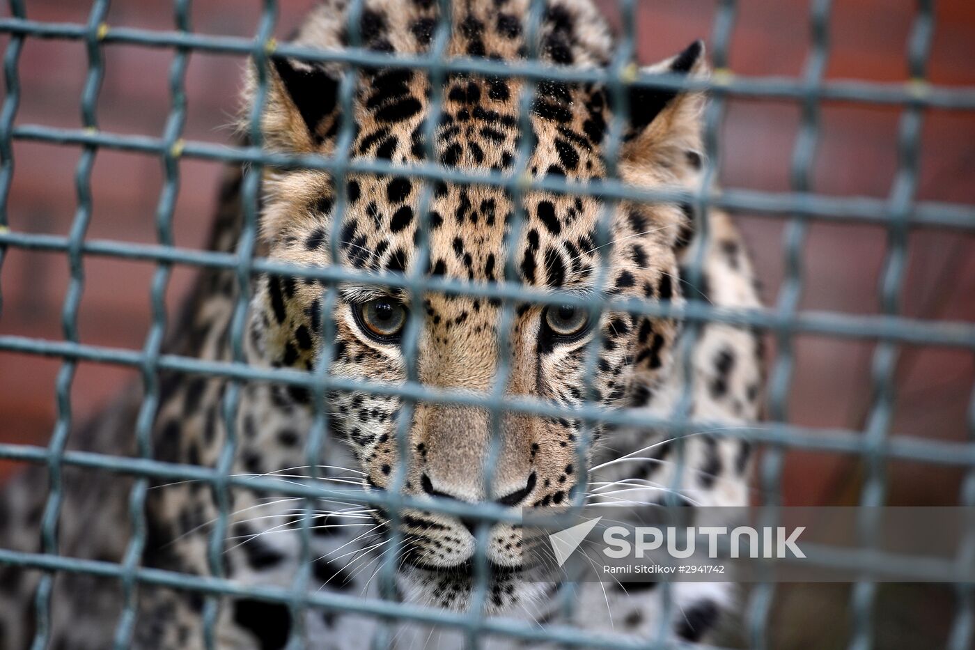 Moscow Zoo nursery