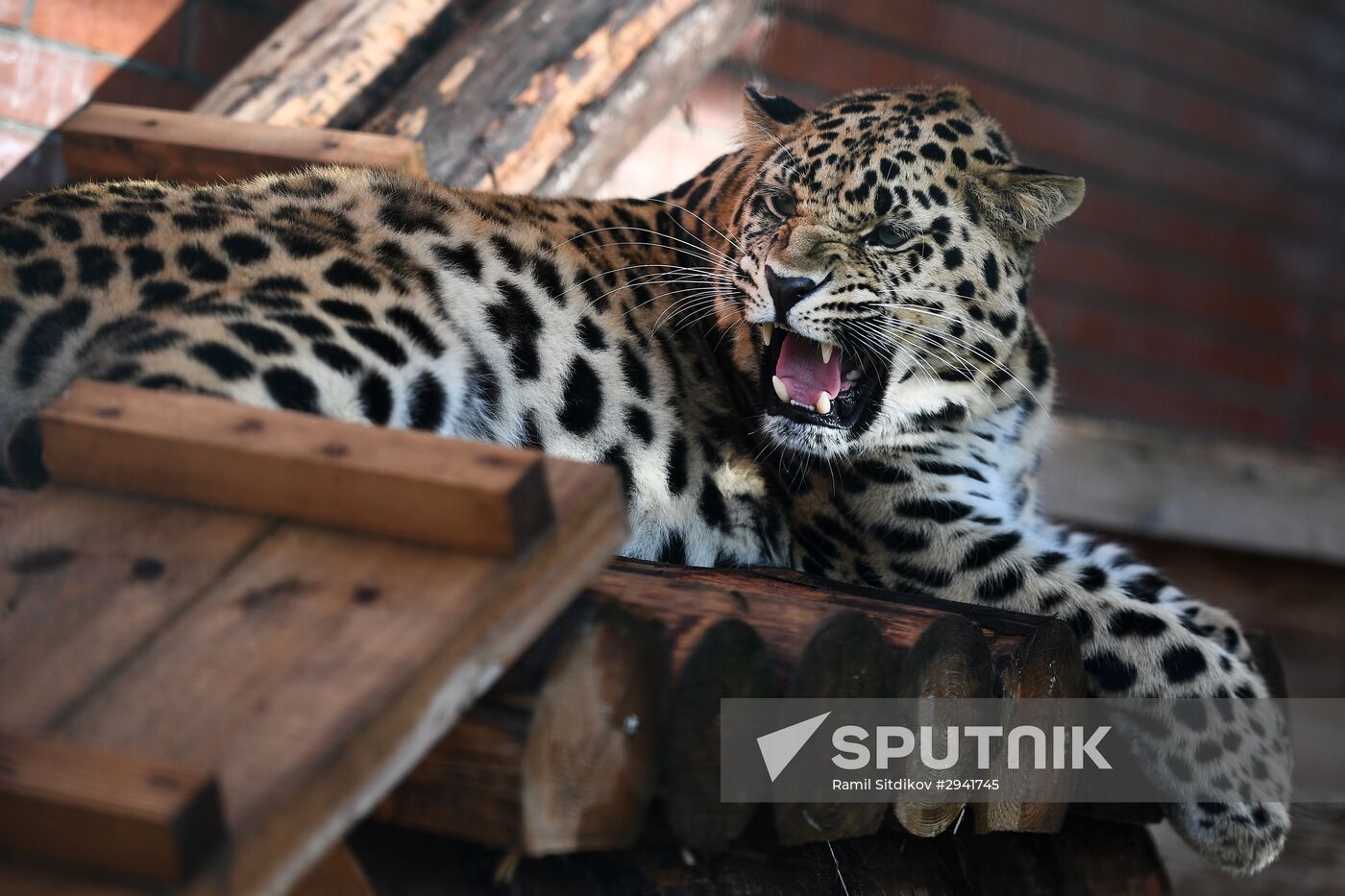 Moscow Zoo nursery