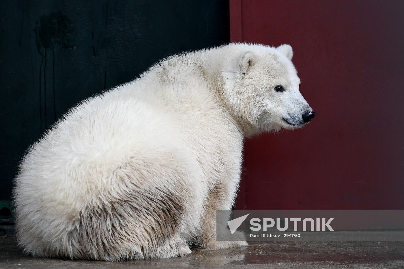 Moscow Zoo nursery